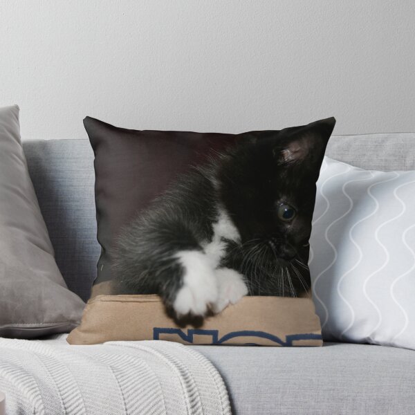 Aperçu de l'œuvre Lilly in Brutus' Box créée et vendue par Fern Design.