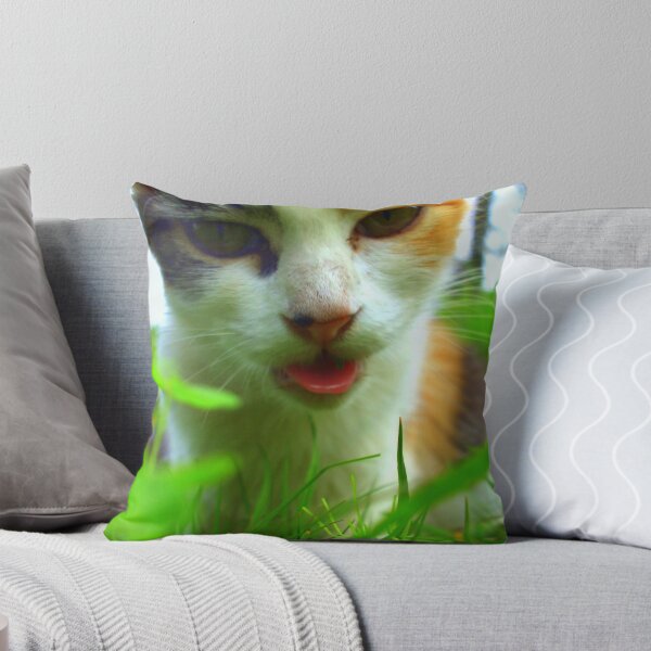 Item preview, Baaa,baaaa ! (kitty impersonating a sheep) designed and sold by artist4peace.