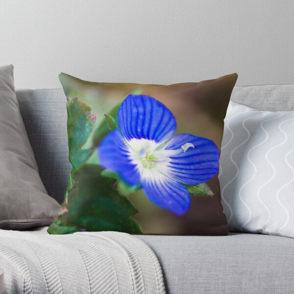 Common Field-speedwell (Veronica persica) Throw Pillow