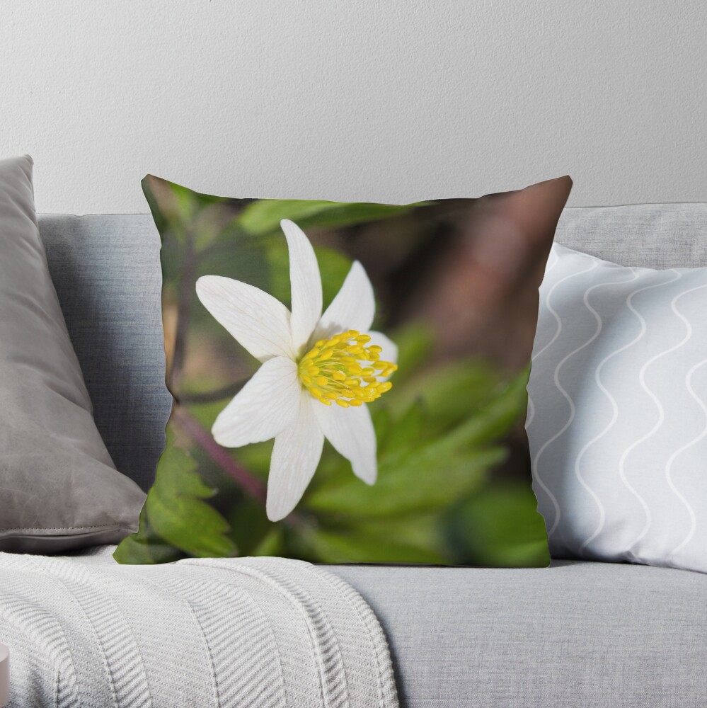 Wood Anemone (Anemone Nemorosa) Throw Pillow