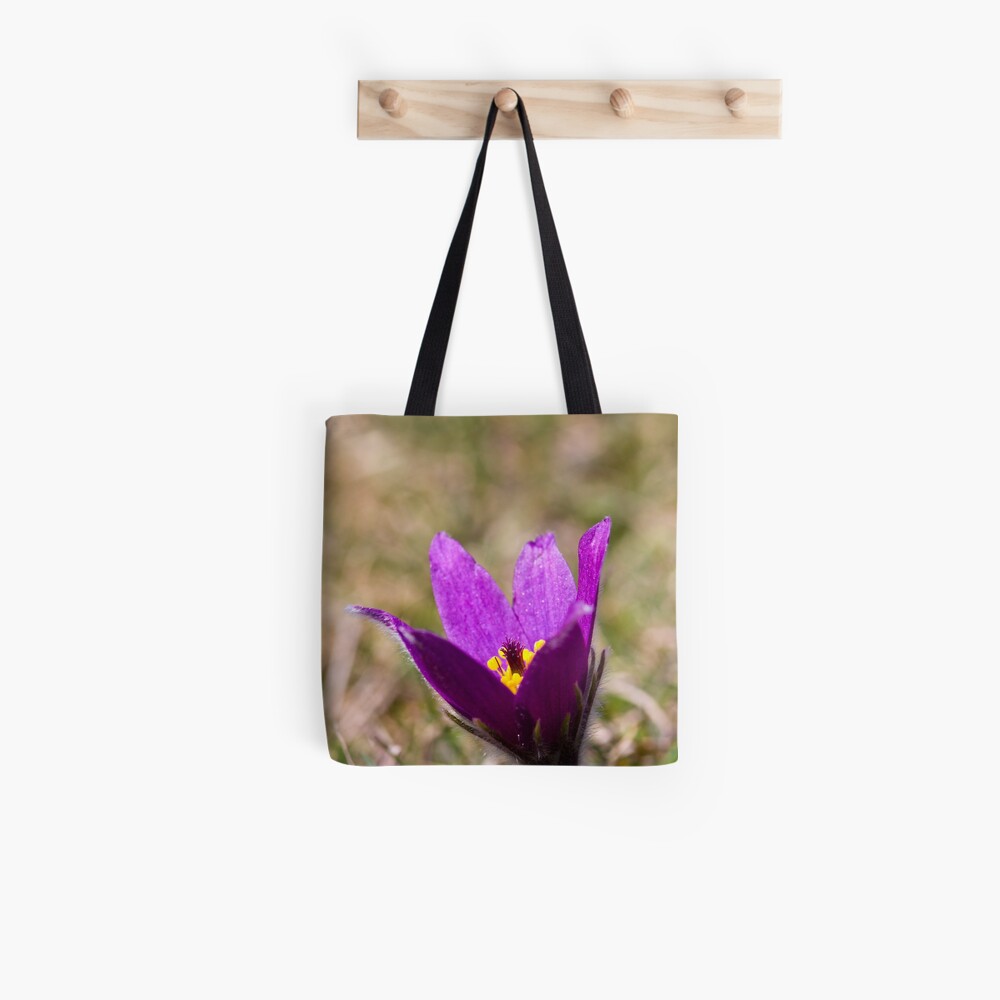 Pasqueflower (Pulsitilla vulgaris) Tote Bag