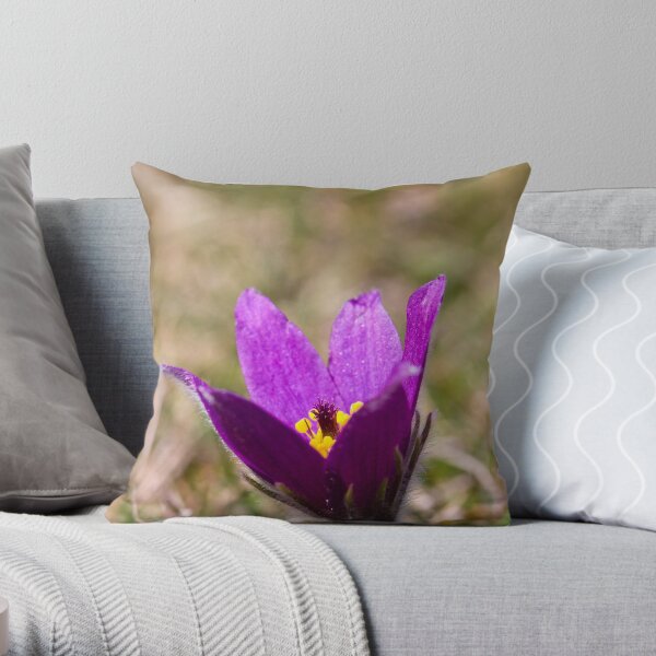 Pasqueflower (Pulsitilla vulgaris) Throw Pillow