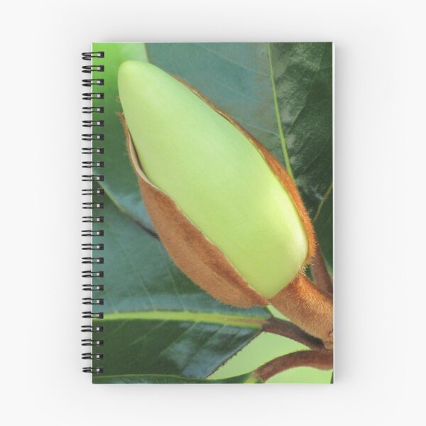 Item preview, Lustrous designed and sold by Jean Gregory Evans.