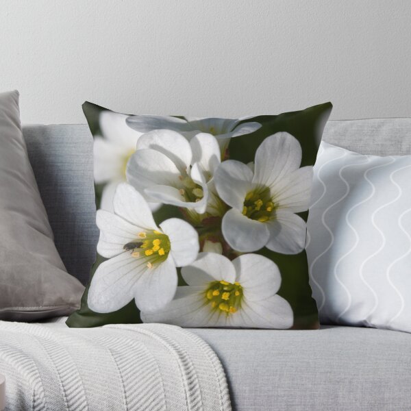 Meadow Saxifrage (Saxifraga granulata) Throw Pillow
