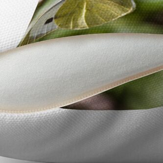 Alternate view of Large White Butterfly (Pieris brassicae) on Bluebell Throw Pillow