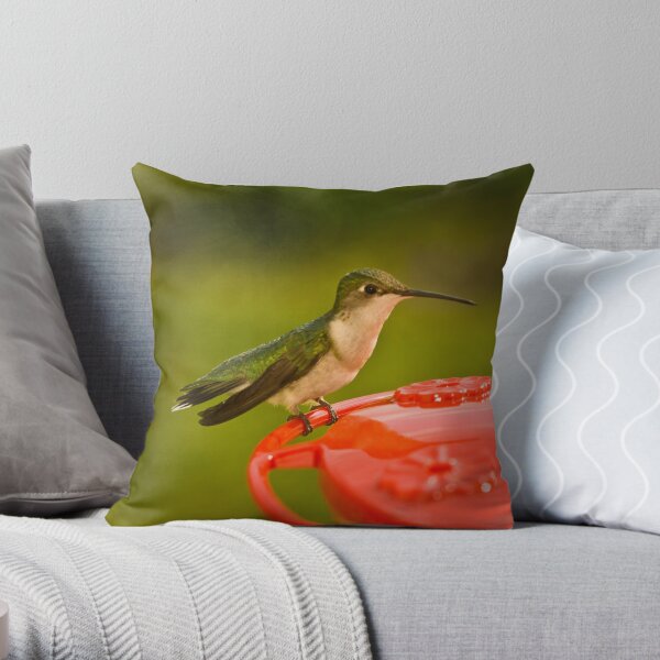 Hummingbird Pause Throw Pillow