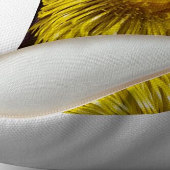 Alternate view of Colt's-foot (Tussilago farfara) Throw Pillow