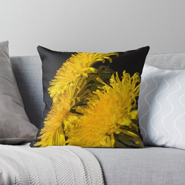 Three Dandelions (Taraxacum officinale) Throw Pillow