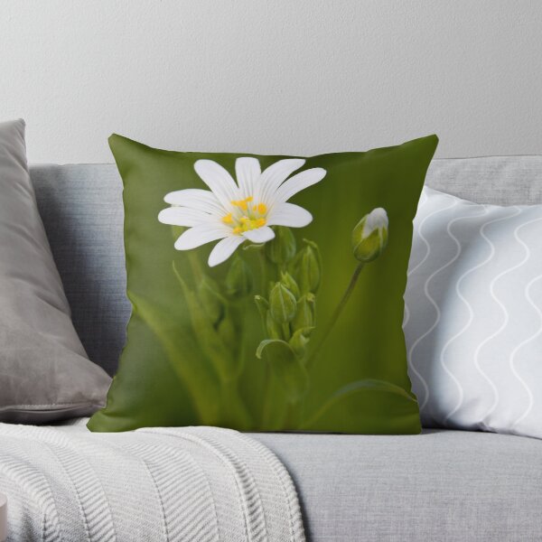 Greater Stitchwort (Stellaria palustris) Throw Pillow