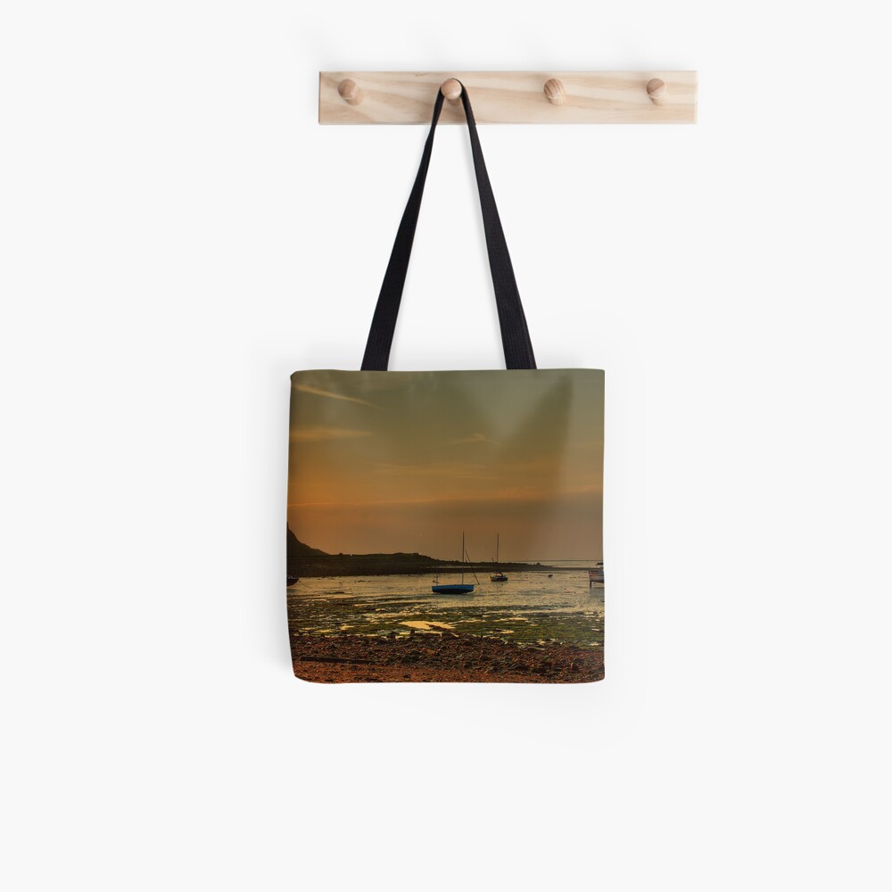 Item preview, All Over Print Tote Bag designed and sold by tontoshorse.