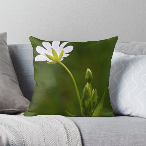 Greater Stitchwort (Stellaria palustris) Throw Pillow