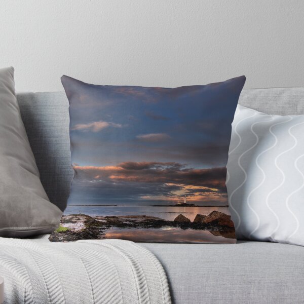 Reflection Throw Pillow