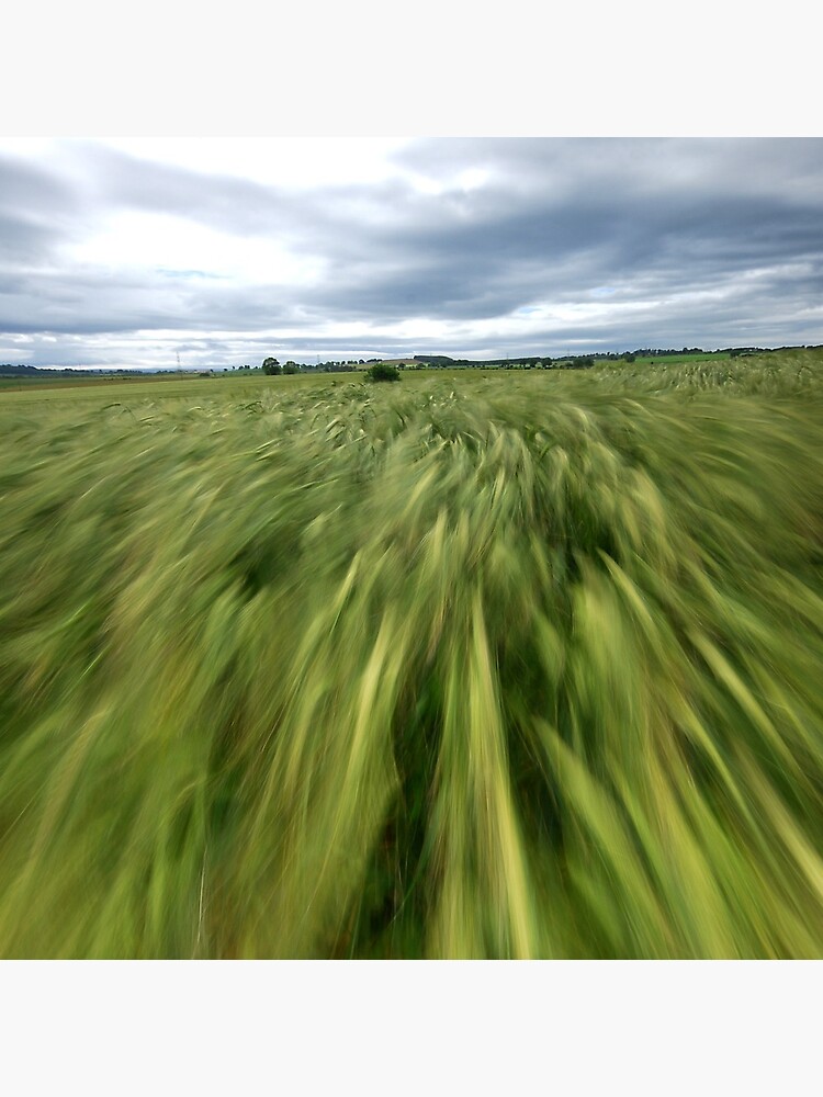 Moving field by tontoshorse