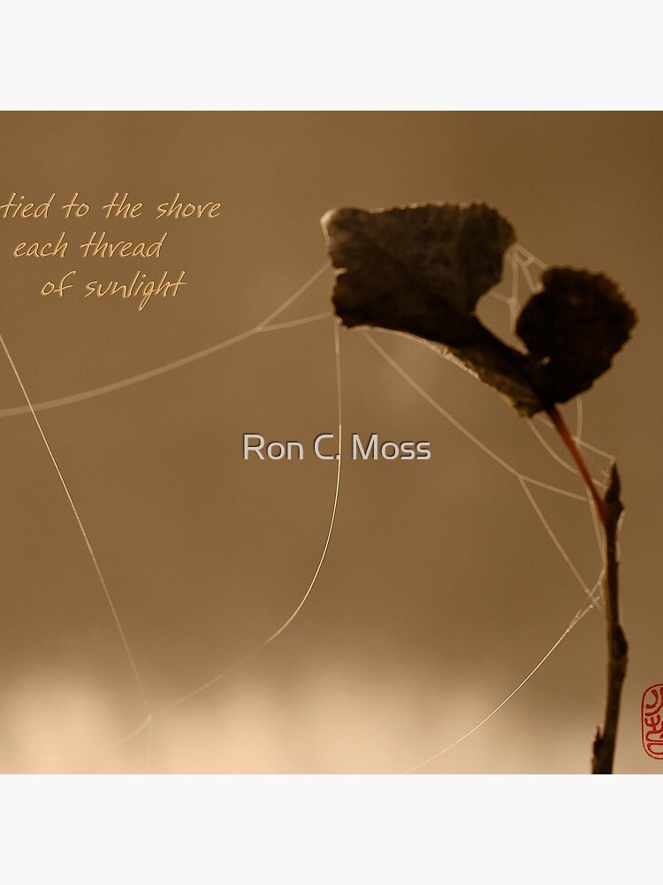 autumn gold by ronmoss