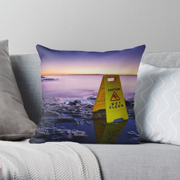The Janitor at the End of the World Throw Pillow