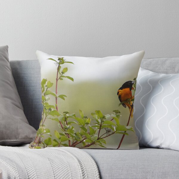 Item preview, Male Baltimore Oriole (Special Effects)  designed and sold by DigitallyStill.
