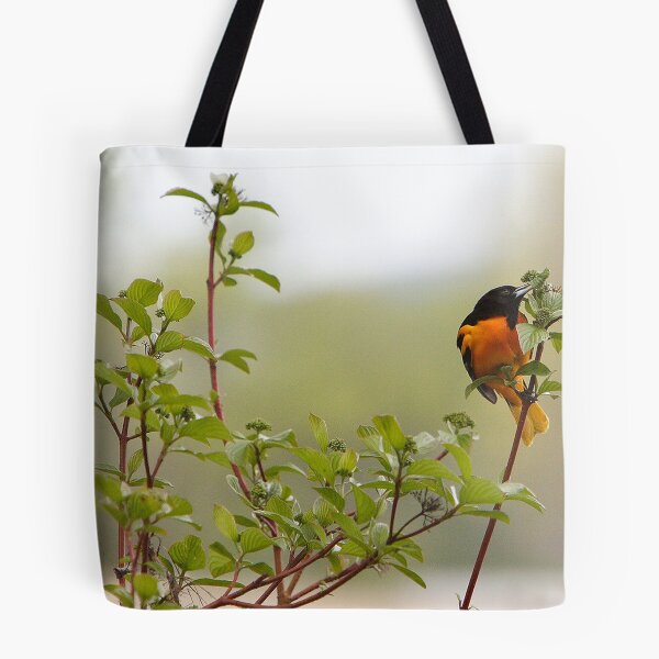 Item preview, Male Baltimore Oriole (Special Effects)  designed and sold by DigitallyStill.