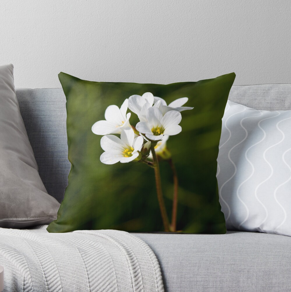 Meadow Saxifrage (Saxifraga granulata) Throw Pillow