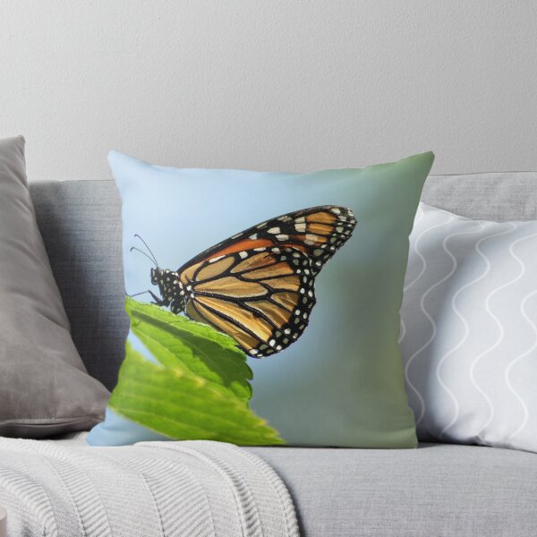 Item preview, Monarch at Rest designed and sold by Virginia N. Fred.