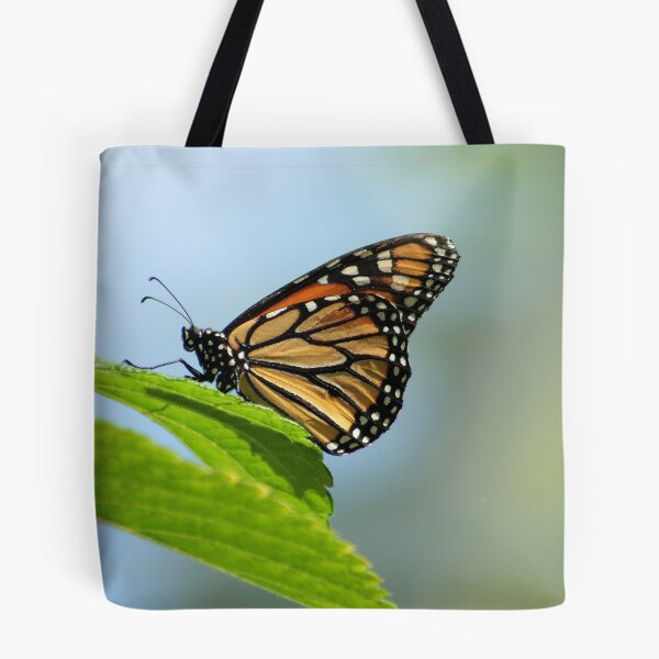 Item preview, Monarch at Rest designed and sold by Virginia N. Fred.