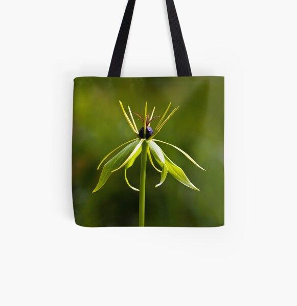 Herb Paris (Paris quadrifolia) All Over Print Tote Bag