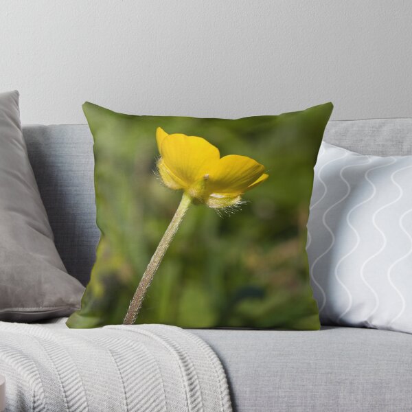 Creeping Buttercup (Ranunculus repens) Throw Pillow