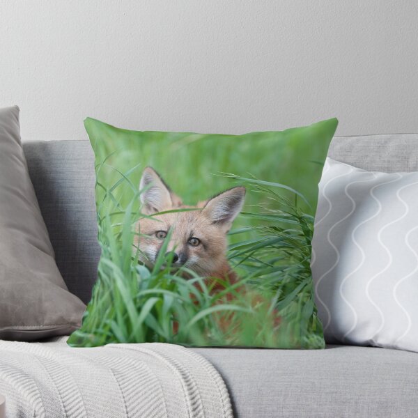 Item preview, I Don't Want to Come Out! designed and sold by Gary Lengyel.