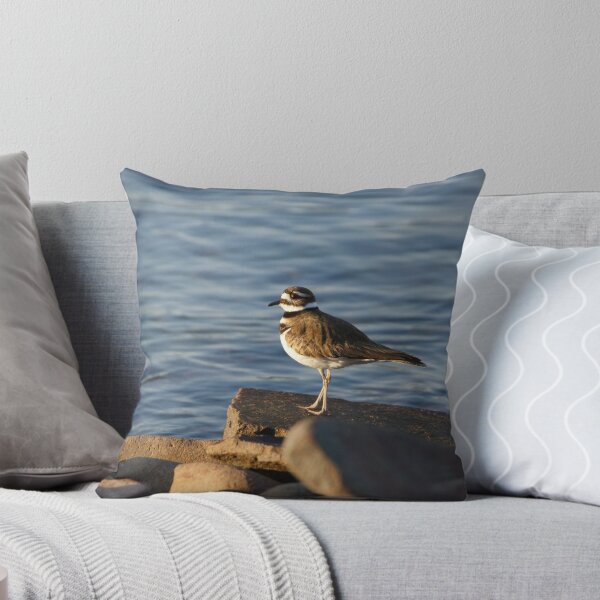 Item preview, Killdeer designed and sold by Tammy Drombolis.