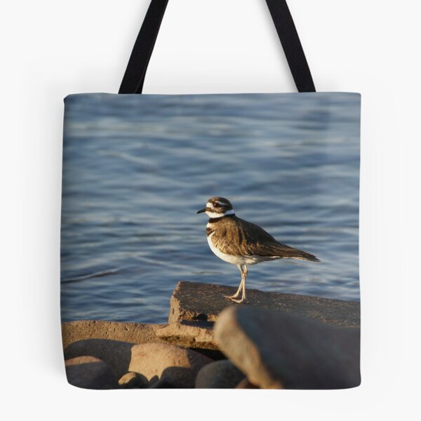 Item preview, Killdeer designed and sold by Tammy Drombolis.