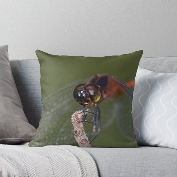 Artikelvorschau, Dragonfly entworfen und verkauft von Greg Carlill.