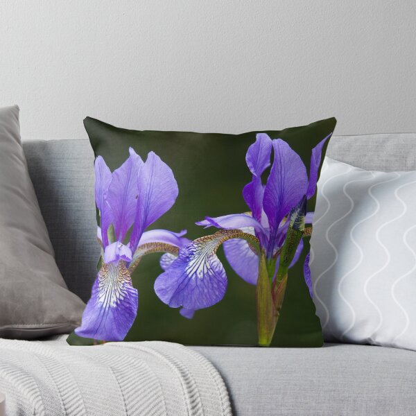 Item preview, Purple Iris (Iris versicolor) designed and sold by Steve Chilton.
