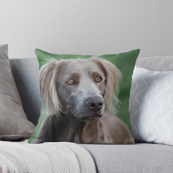 Item preview, Is that for me? designed and sold by Emma Hardcastle.