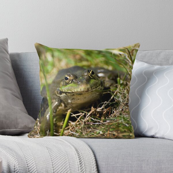 Ribbit Throw Pillow