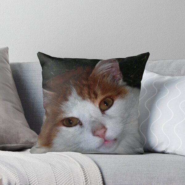 Item preview, Are you looking at me?!? designed and sold by Cheri Perry.