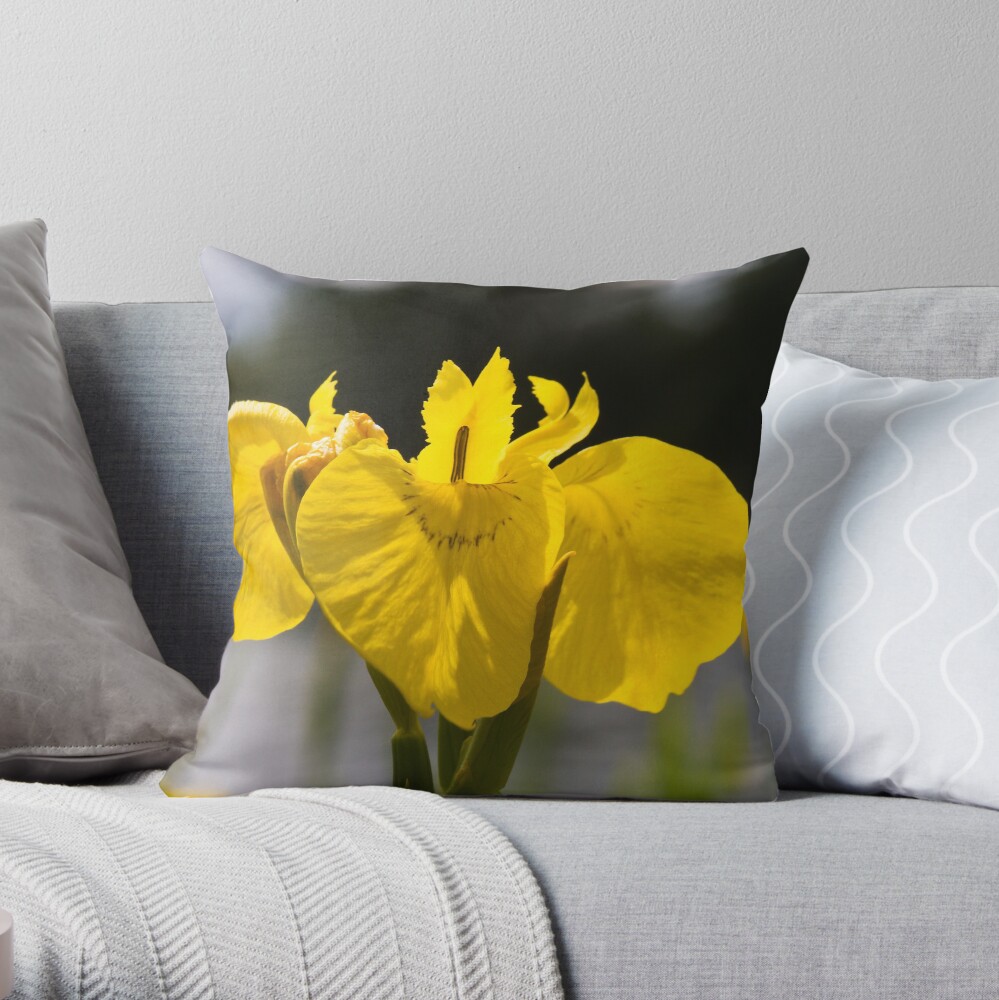 Yellow Iris (Iris pseudacorus) Throw Pillow