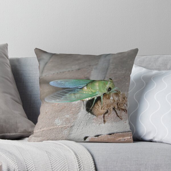 Item preview, Can I come out now? designed and sold by BuddyOne.