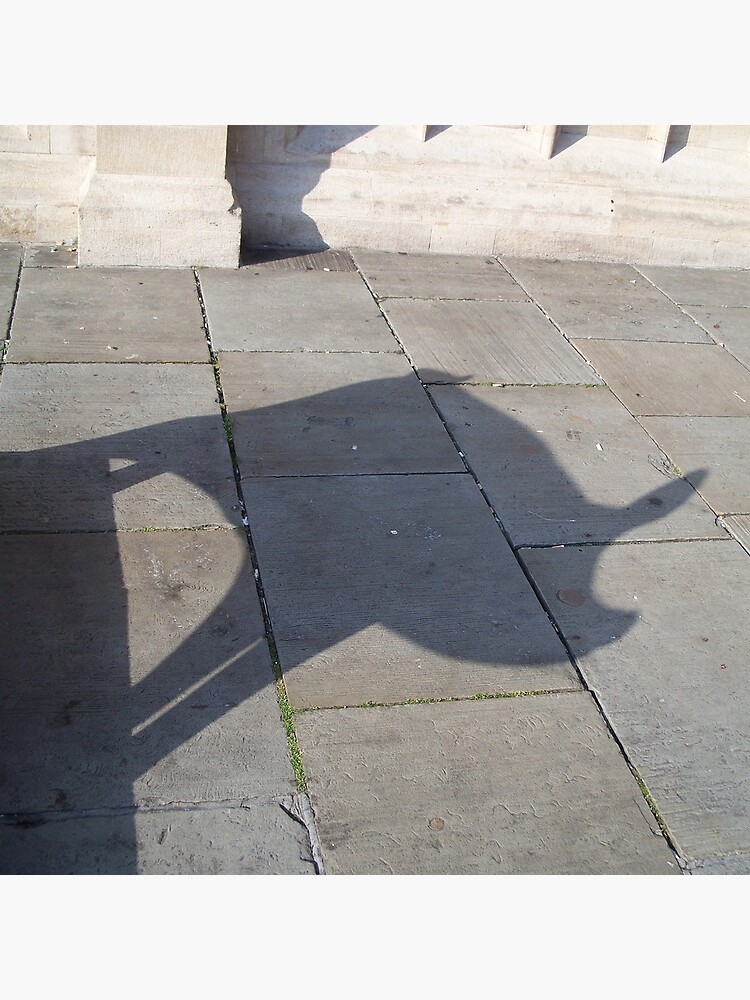 Pig Shadow by robsteadman