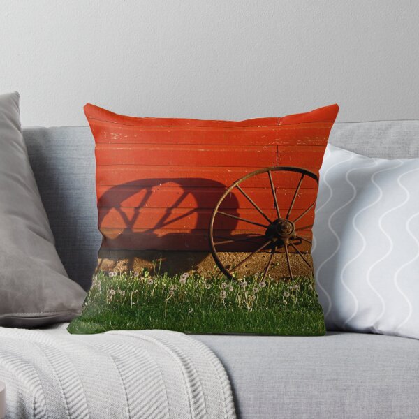Shadow of Time Throw Pillow
