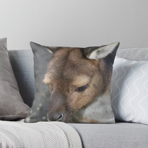 Item preview, "Roo of Parndana" designed and sold by Gail Mew.