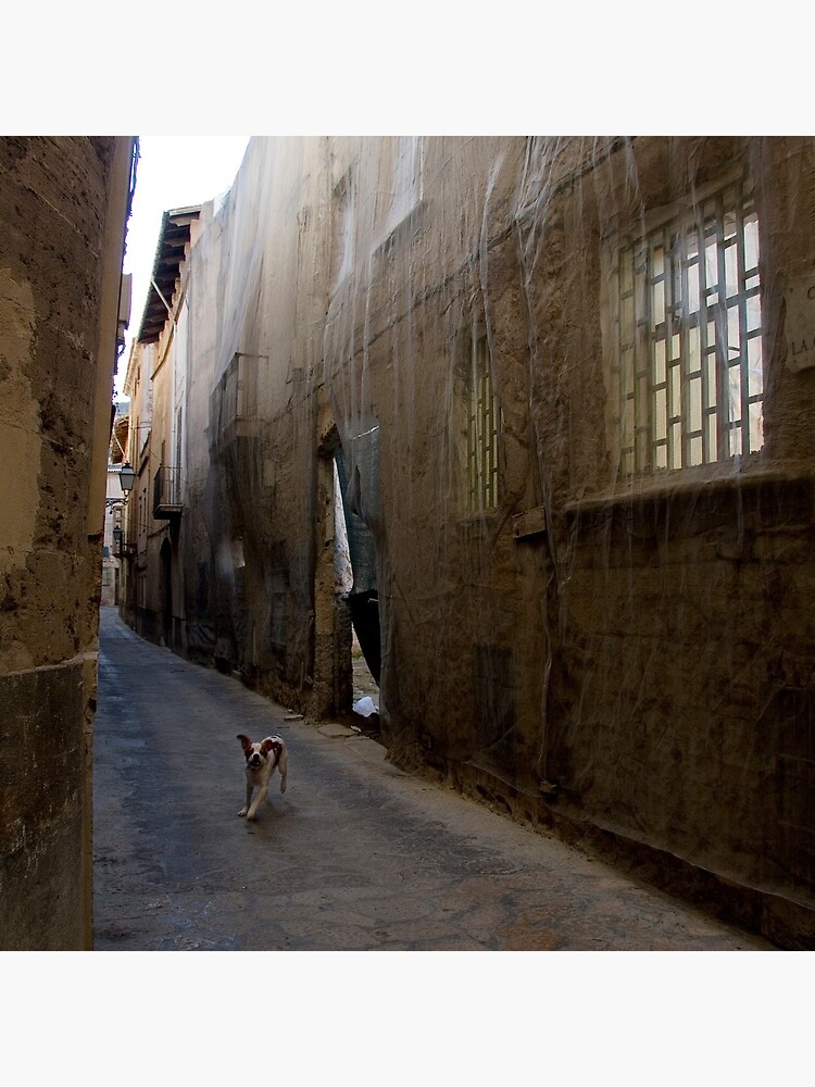 Dog Street by rogues70