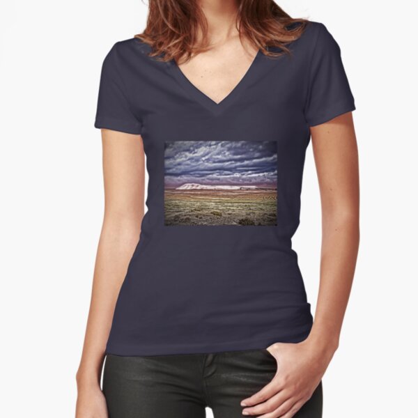 Fitted V-Neck T-Shirt