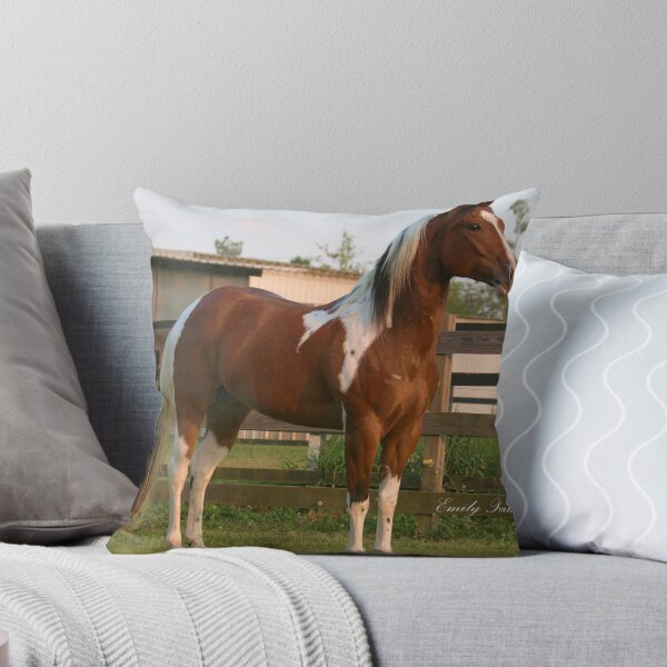 Item preview, Bullseye designed and sold by Emily Peak.