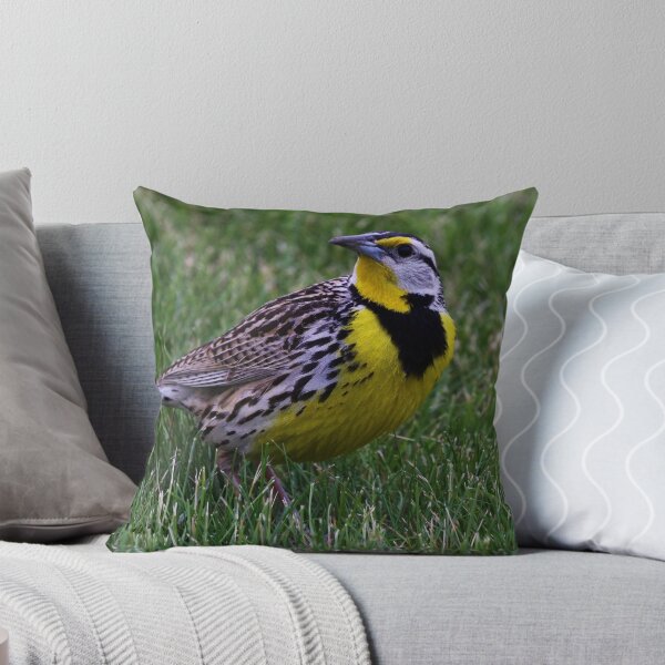 Item preview, Eastern Meadowlark 3 designed and sold by John Absher.
