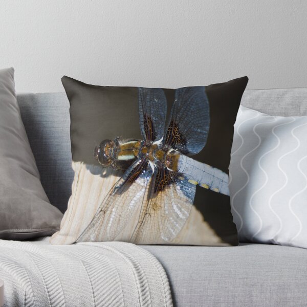 Broad-bodied Chaser (Libellula depressa) Throw Pillow