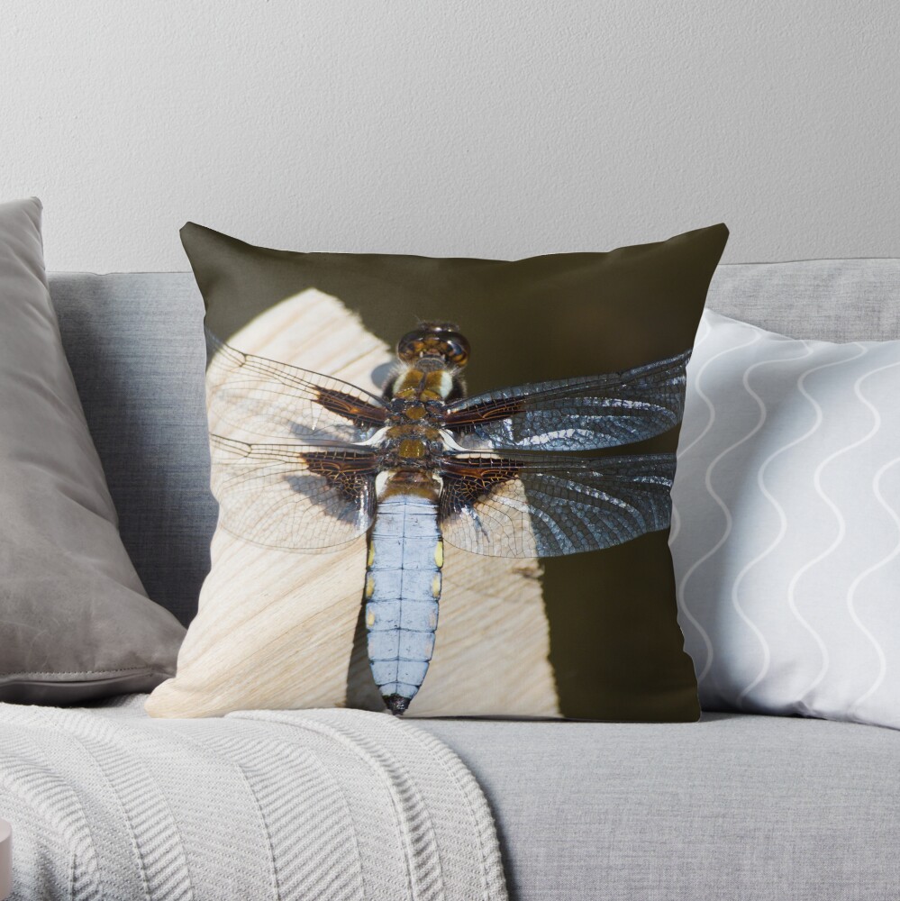 Broad-bodied Chaser (Libellula depressa) Throw Pillow