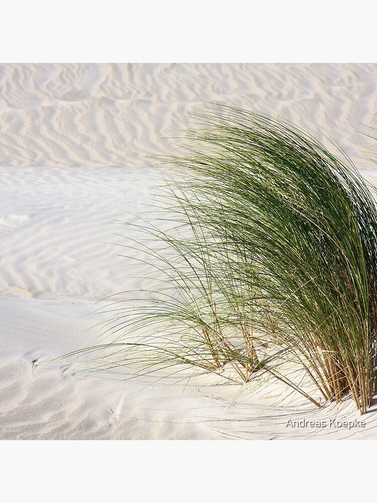 Blowing in the wind by mistered