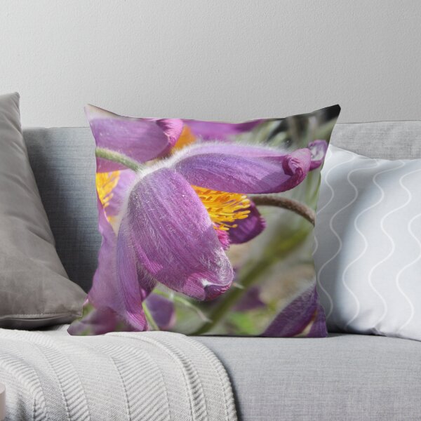 Throw Pillow
