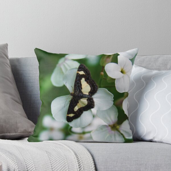 Item preview, Beautiful Butterfly designed and sold by sunshine0.