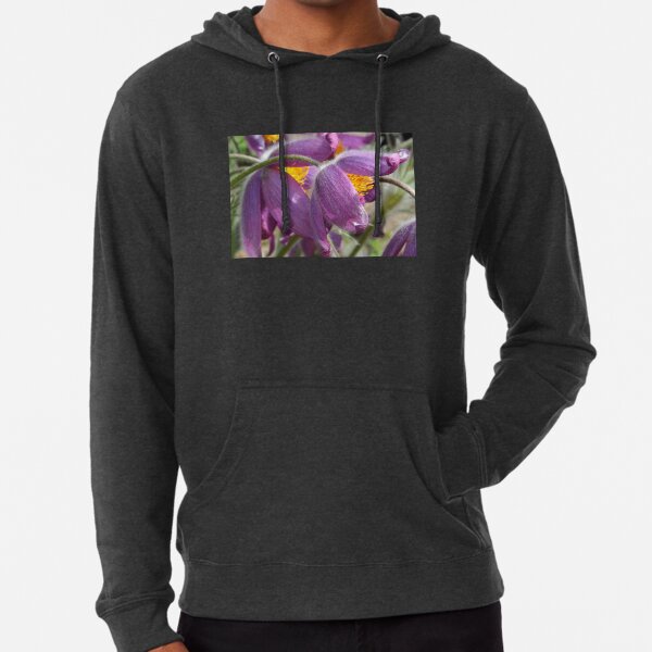 Lightweight Hoodie