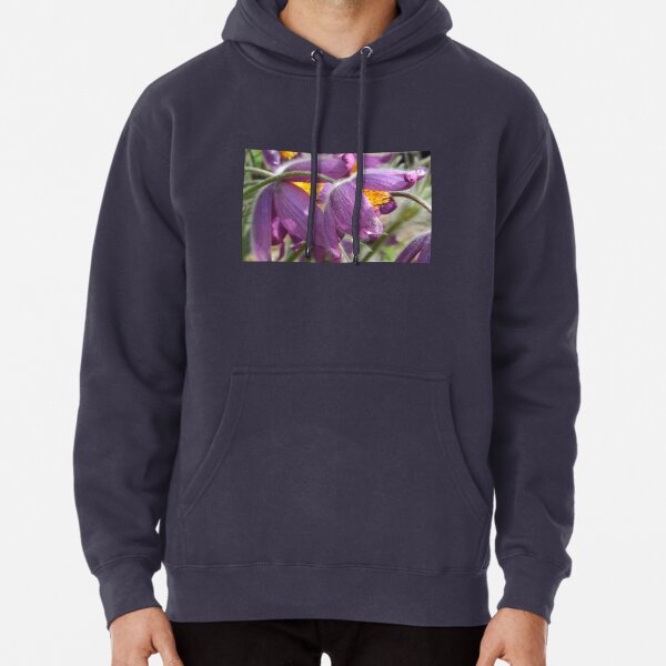 Hoodie (Pullover)